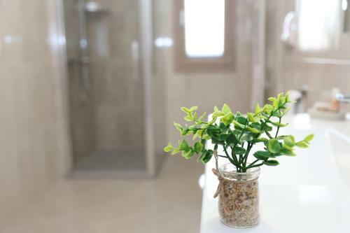 Apartamento L'oasi Di Ciccio