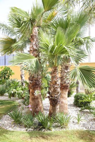 Apartamento L'oasi Di Ciccio