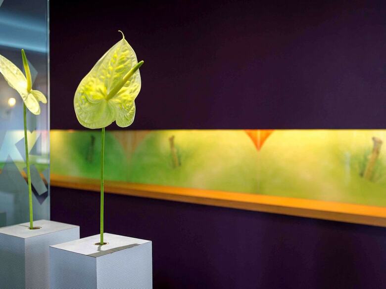Hotel Novotel Perpignan