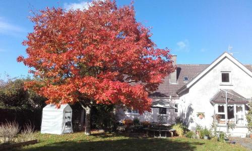 Twin Oaks Bed & Breakfast
