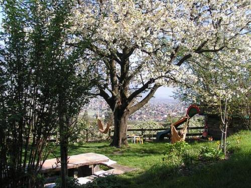 Apartamento Unterbrunnerhof