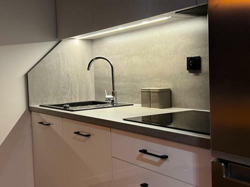 Apartament Delux Roztocze