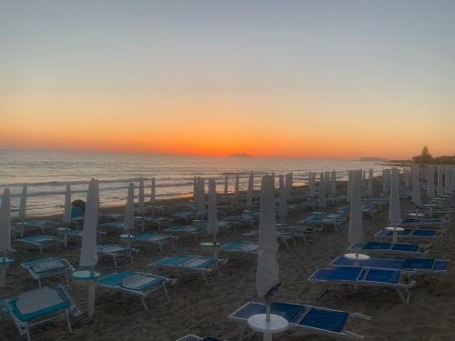 The Memory Of Trees - Marsala