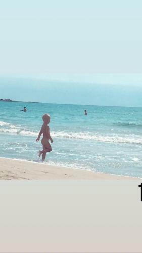 The Memory Of Trees - Marsala