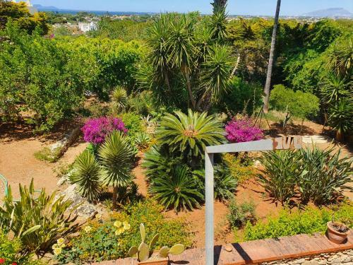 Apartamento Villa Matilde