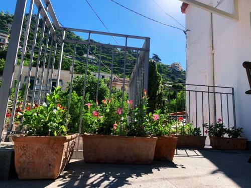 Apartamento L'albero Della Vita