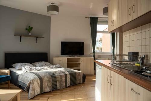 Apartamenty Na Winklu Green
