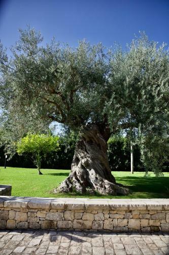 Agroturismo Villa Sik�