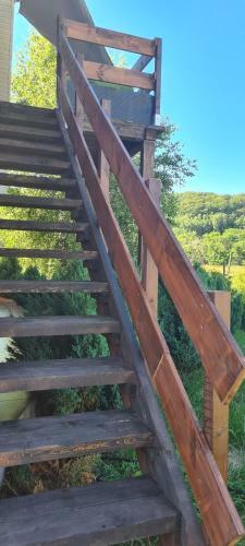 Apartament Natura