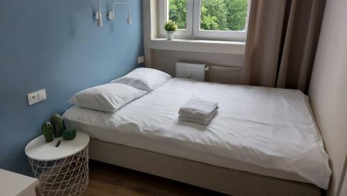 Apartament Skamander
