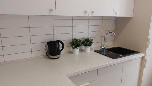 Apartament Skamander