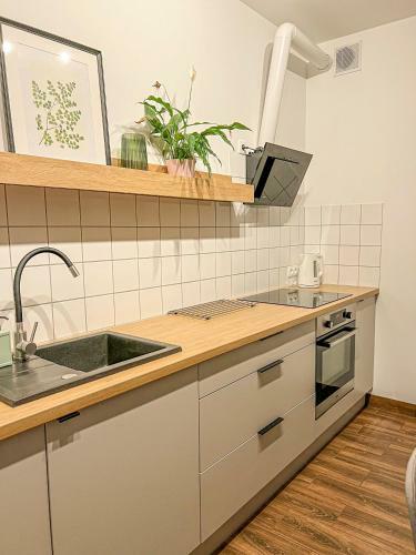 Przytulny Apartament Mickiewicza 14/2