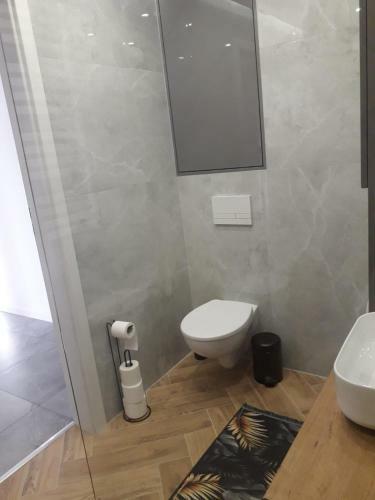 Apartament Wi?ajny