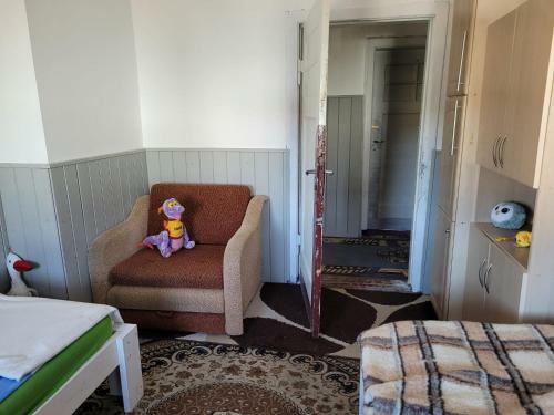 Apartamenty Strumyk