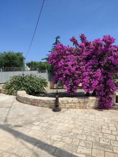 I Trulli Di Nonno Oronzo