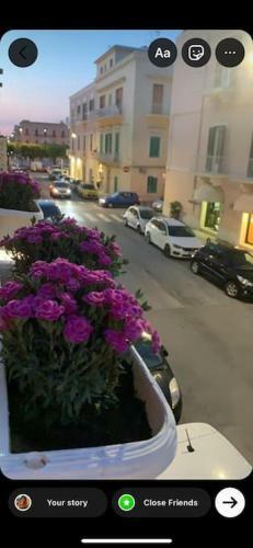Apartamento Suite Mariagiulia Monopoli
