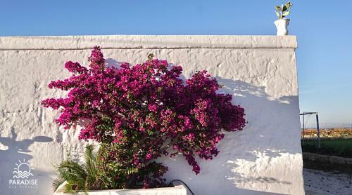 Hostal Paradise Sea Terrace
