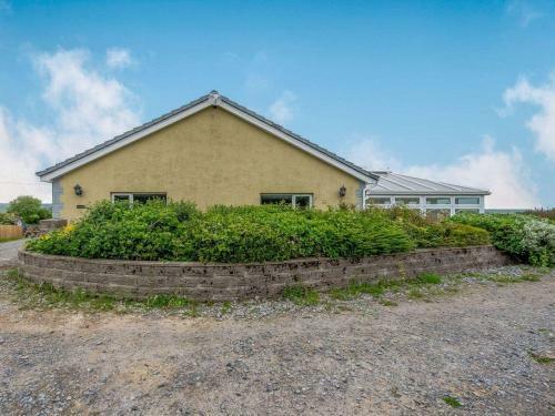 Cariad - Uk37630