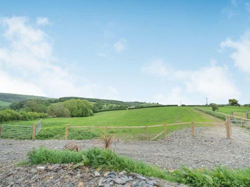 Cariad - Uk37630