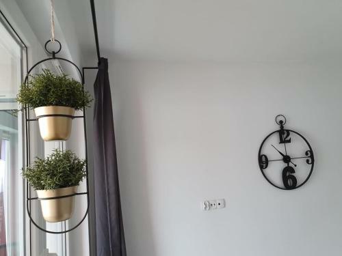 Apartament Mewa Z Parkingiem