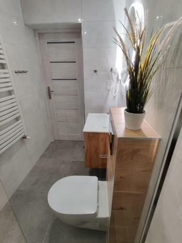 Apartamenty Kaszubska Fala