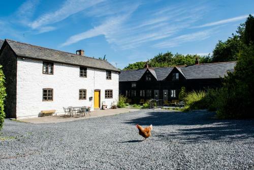 Apartamento Glyngynwydd
