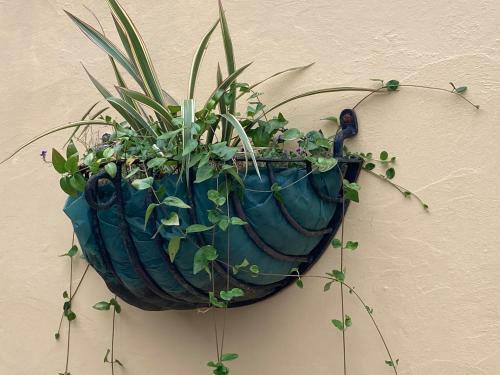Mini Haven