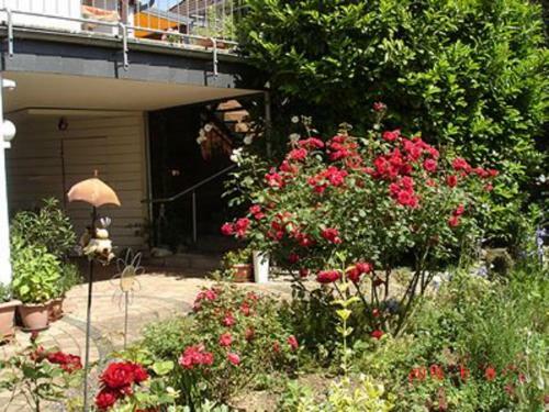 Apartamento Ferienwohnungen In Idstein