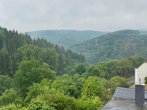Apartamento Ferienwohnung Ernzerhof