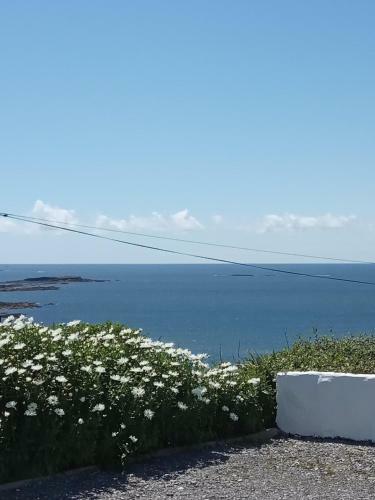 Bed & Breakfast Clifden Bay Lodge