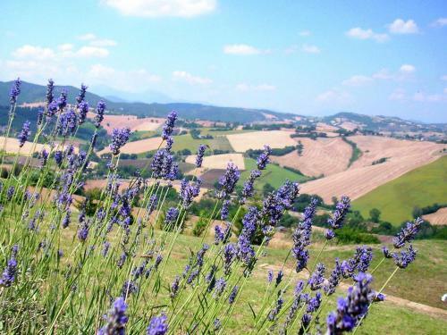Holiday Home Cipresso Arcevia