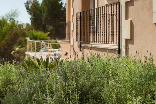 Villa Finca Es Foners