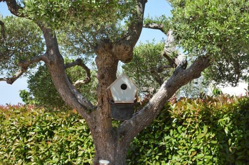 B&B Casa Delle Rondini