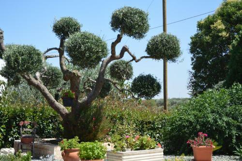 B&B Casa Delle Rondini
