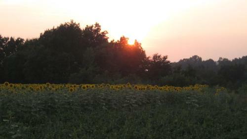 Agroturismo Azienda Agrituristica Buttieri Giuseppe