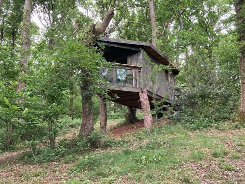 Unique Off Grid Tree-house Stay