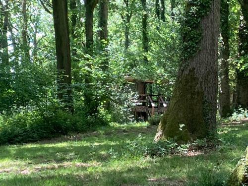 Unique Off Grid Tree-house Stay