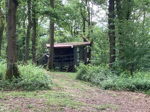 Unique Off Grid Tree-house Stay