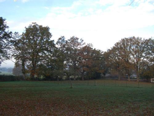 Cozy Cottage In Couleuvre In A Delightful Area