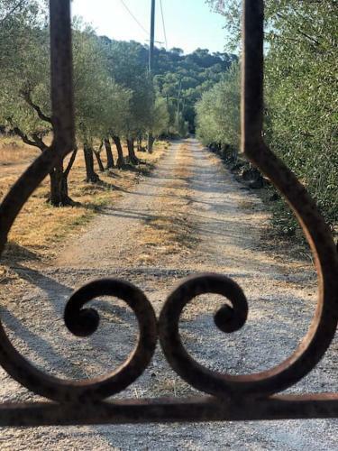 Villa Les Hauts De Diane, Cuers Var