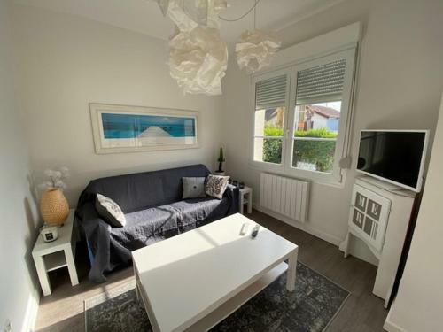 Maison De Vacances Pour 6 Personnes Stella Plage - Villa Poppee