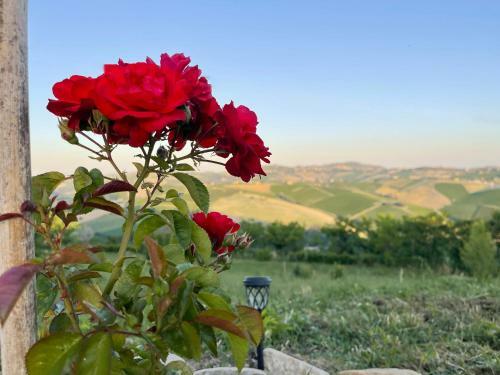 Apartamento La Casetta Al Sole