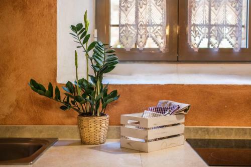 Apartamento Montefollonico La Terrazza