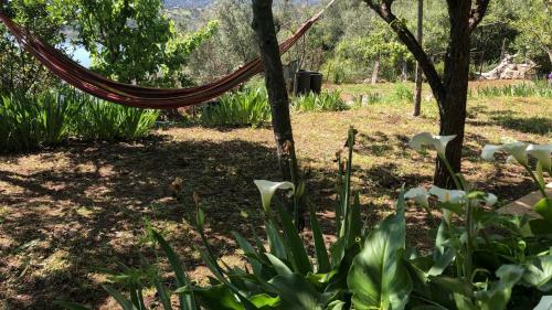 Vistalago Garden