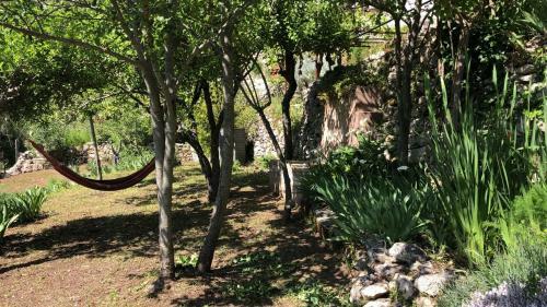 Vistalago Garden