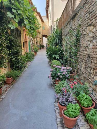 Casa Vacanze Il Falco