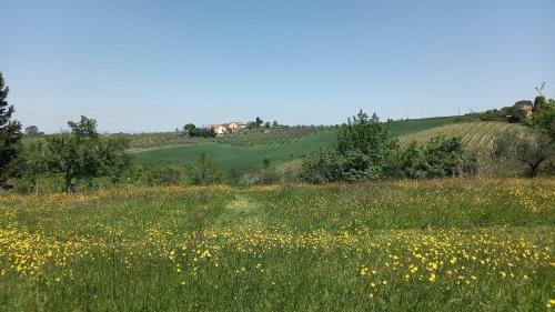 Apartamento Tenuta Cortina E Mandorli