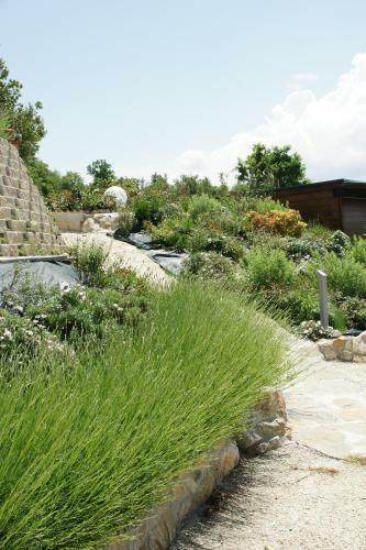 Hostal Residenza Corgnano