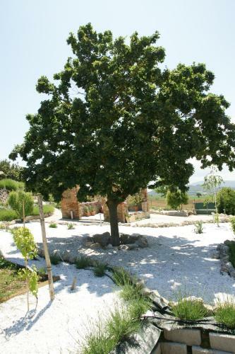 Hostal Residenza Corgnano