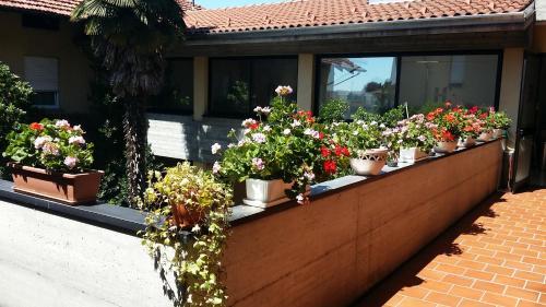 Hotel La Rosa Bianca